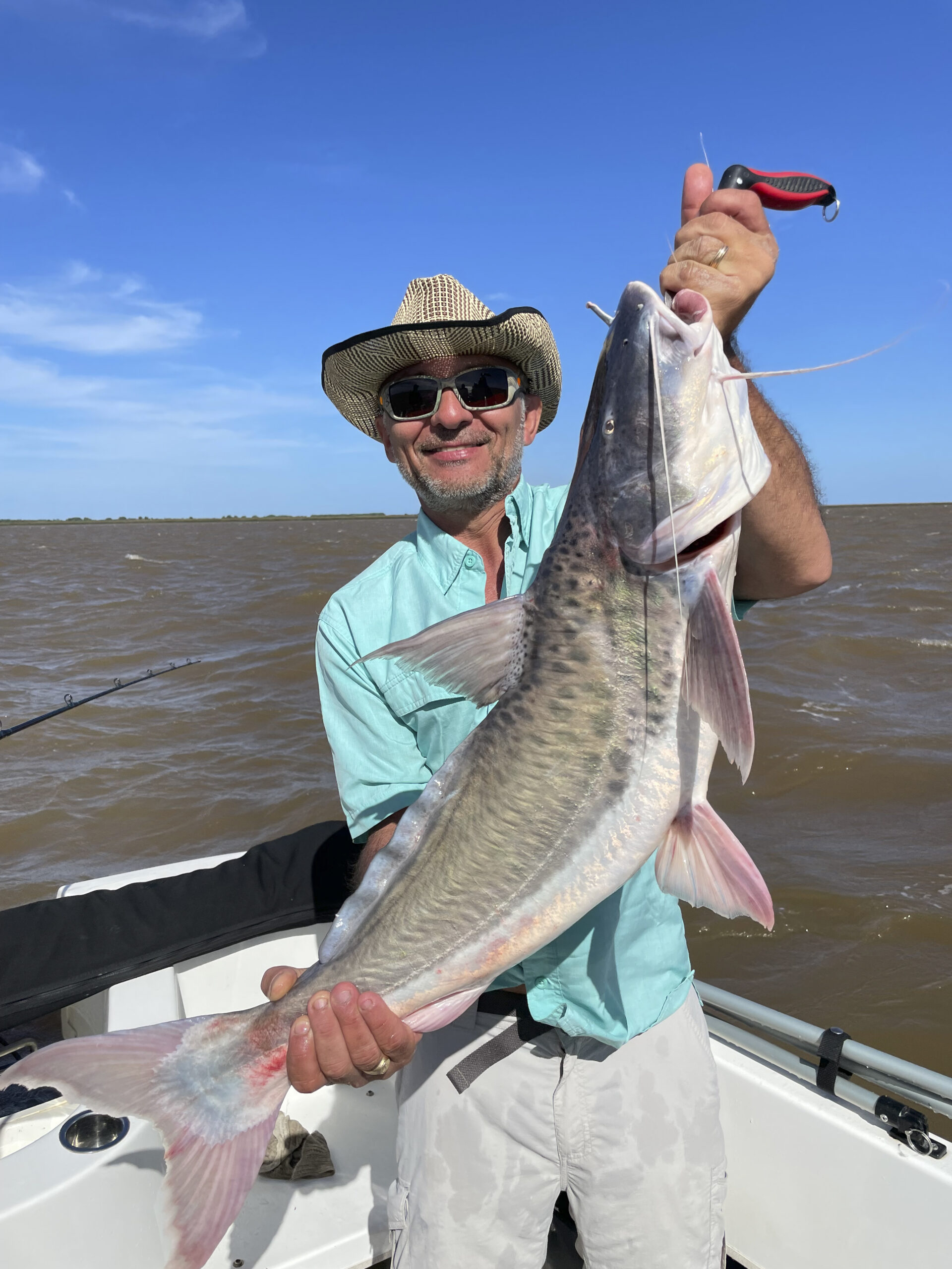 The Giant Pati of the Rio de la Plata is an exotic and beatiful big Catfish to caught